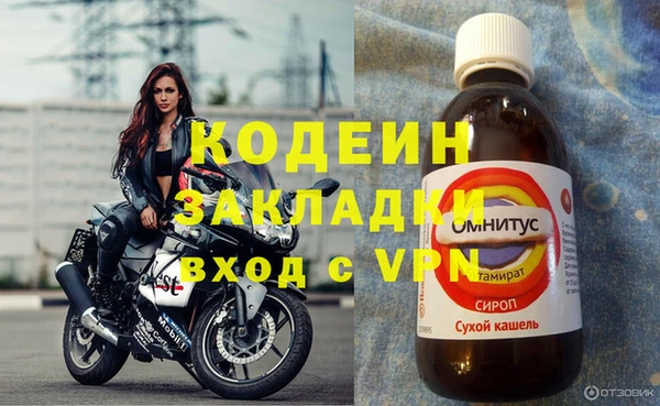 СК Балахна