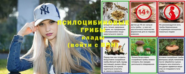 СК Балахна