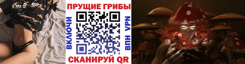 МЕГА tor  Темников  Галлюциногенные грибы прущие грибы 